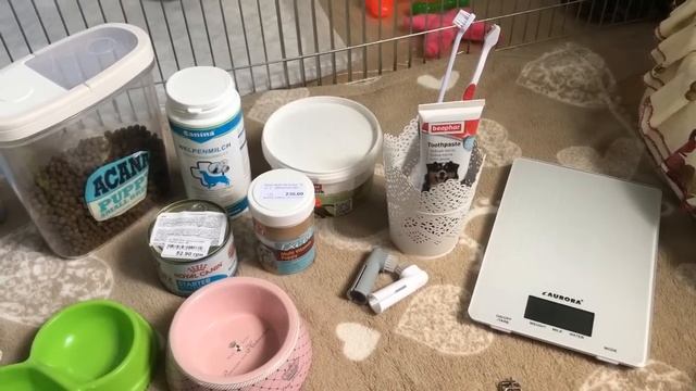 ЧТО НУЖНО ДЛЯ ПОЯВЛЕНИЯ ЩЕНКА В ДОМЕ. Первые зоопокупки. Щенки йоркширского терьера смотреть онлайн