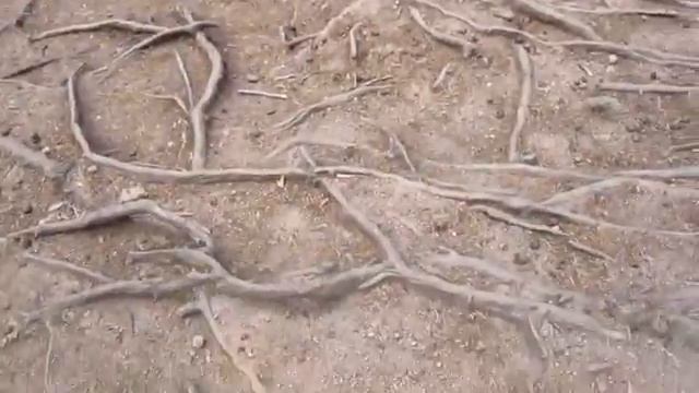 На Байкал из Таллина Эстония на машине 1 часть смотреть онлайн