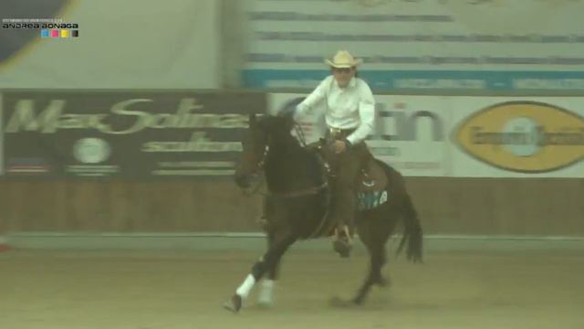 5 tappa AVCR 2016 - SOLINAS MASSIMO sul suo FREI SECO SURPRIZE con score 68,5 смотреть онлайн