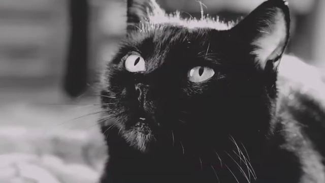 Родные люди смотреть онлайн