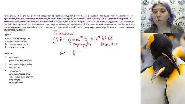 Генетика. 28 задание Полное сцепление генов смотреть онлайн