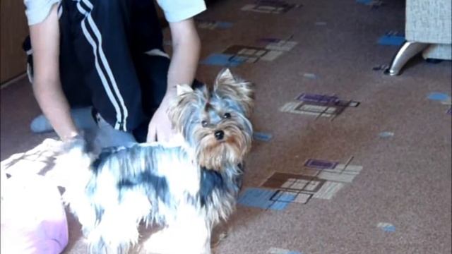 Солнечные зайчики смотреть онлайн