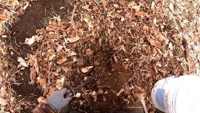 ADC JOB DAY 4: TRAPPING NEST RAIDERS | VLOG | S4 Ep 26 смотреть онлайн