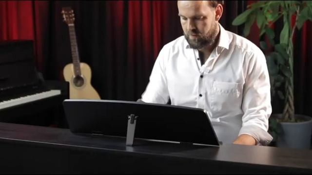 MEDELI DP260 - authentic sound смотреть онлайн