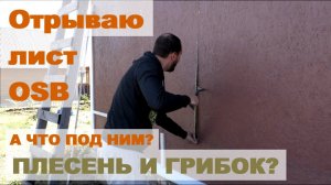 Плесень и гниль под обшивкой OSB (ОСБ, ОСП) каркасного дома? Нет, не слышал!
