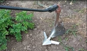 Ручной окучник для картофеля в работе.