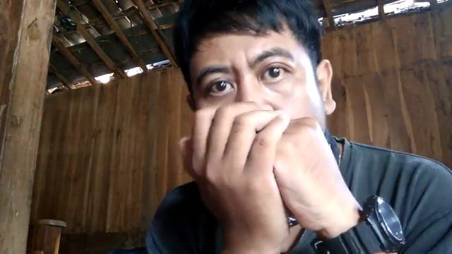 Harmonica train rhytm | Tombo Aero Reed смотреть онлайн