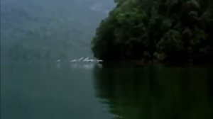 Раяз Фасихов - Кыр казлары