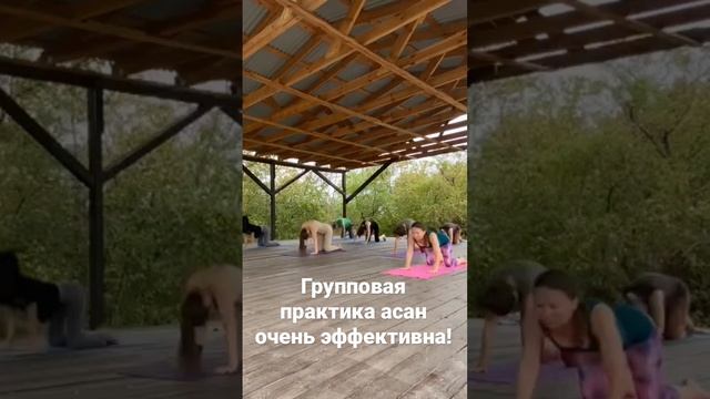 Недавнее занятие #йога#хатхайога смотреть онлайн