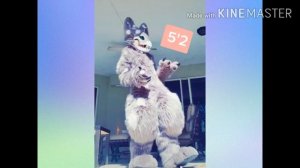 Tik Tok skulls dogs & тик ток скулл доги