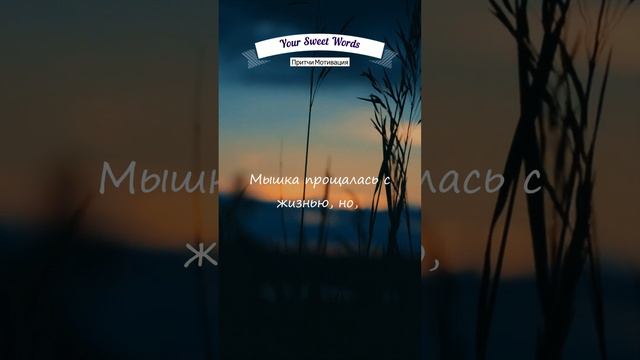 НЕ БОЙСЯ СИЛЬНЫХ | Сильная Притча Про Случайности смотреть онлайн