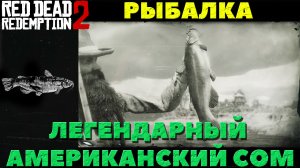 Red Dead Redemption 2 - ✔️Рыбалка. Легендарный Американский Сом! Как поймать!