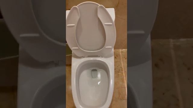 An OK Unknown Helvex Square Front toilet in Cancún, Mexico смотреть онлайн