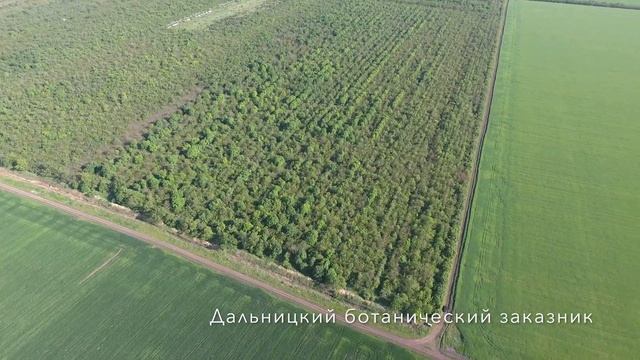 Вторая антенна КВ пеленгатора "Круг" у Дальницкого ботанического заказника с высоты птичьего полета смотреть онлайн