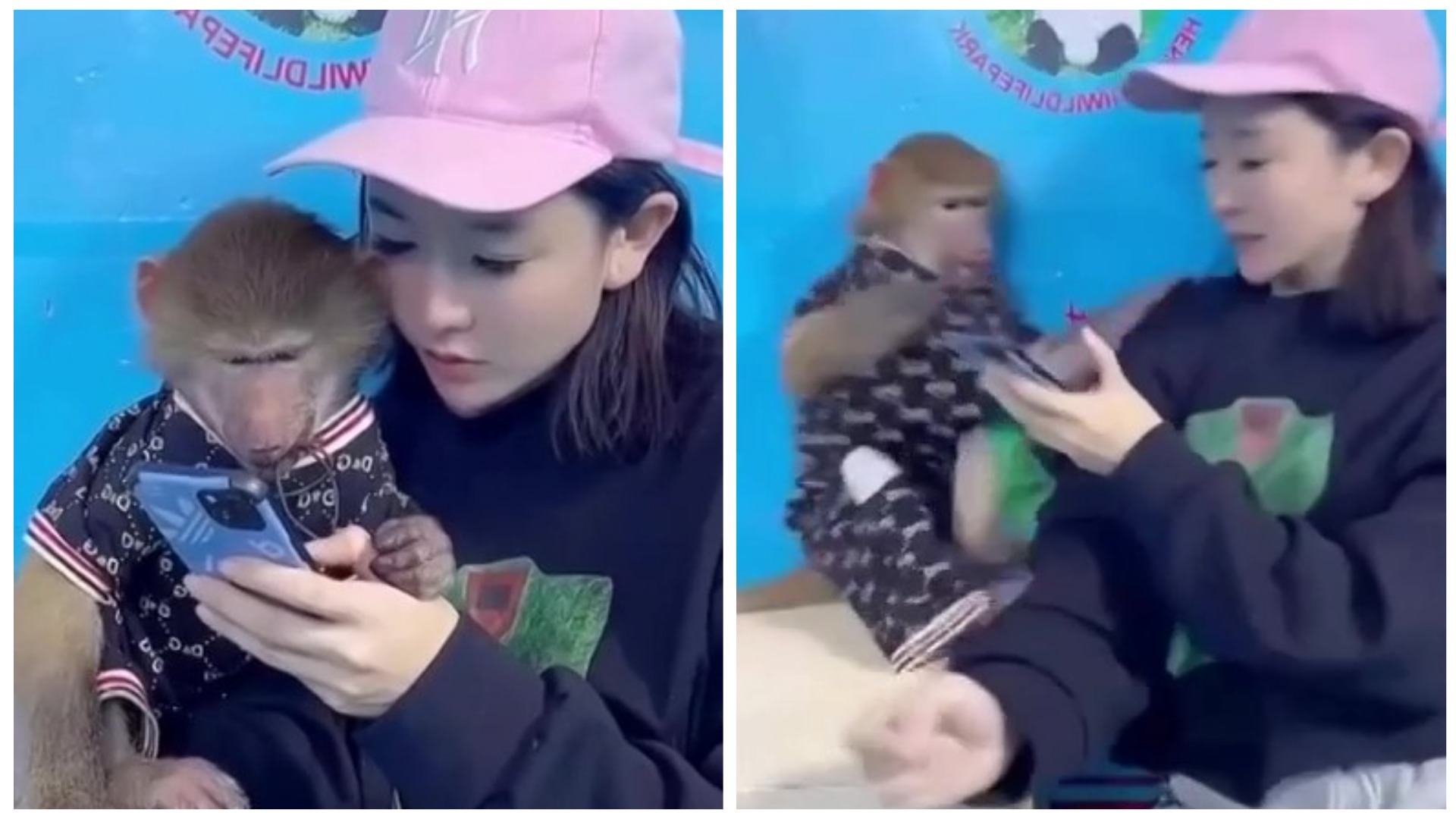 Зачем так пугаешь ?