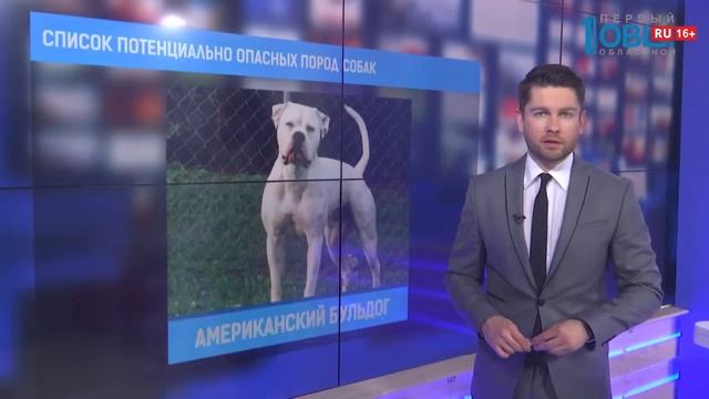 Список потенциально опасных пород собак смотреть онлайн