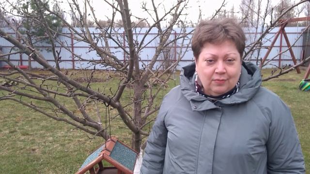 Наблюдение за природой весной. смотреть онлайн