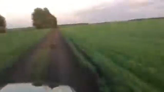 КРАСИВАЯ ПРИРОДА ЛИПЕЦКОЙ ОБЛАСТИ- ПРОСТОРЫ РОДНОГО КРАЯ...!!! смотреть онлайн