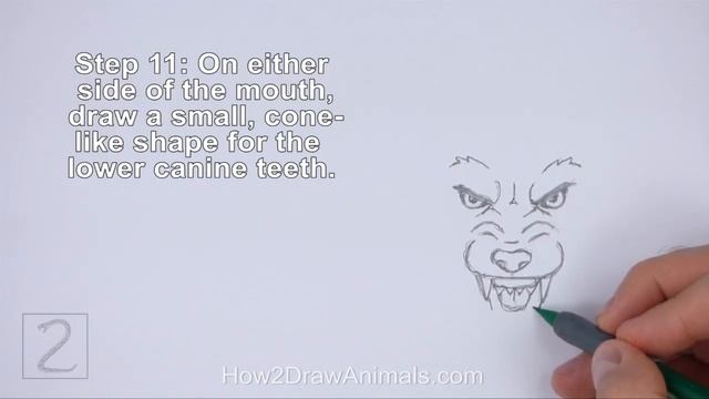 How to Draw a Wolf Head (Cartoon) смотреть онлайн