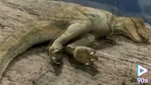 Клип тарбозавр я не сплю я живой на английском