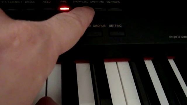 Casio Celviano AP-80r