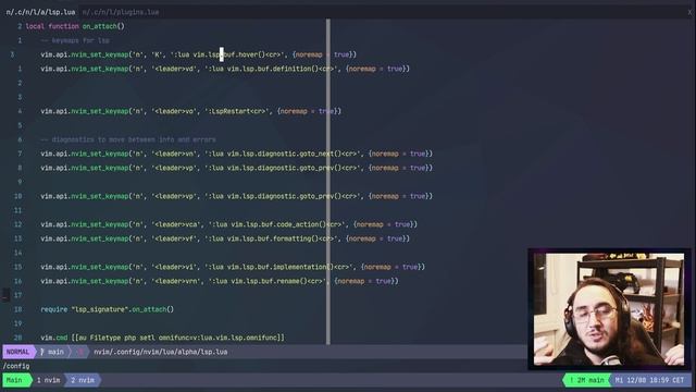 VIM/Neovim como IDE - Como Soportar distintos Lenguajes de Programación смотреть онлайн