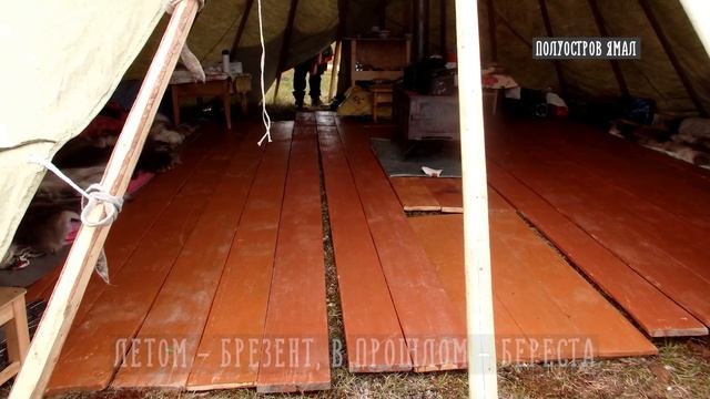 Культура и традиции ненцев | Ненецкий чум смотреть онлайн