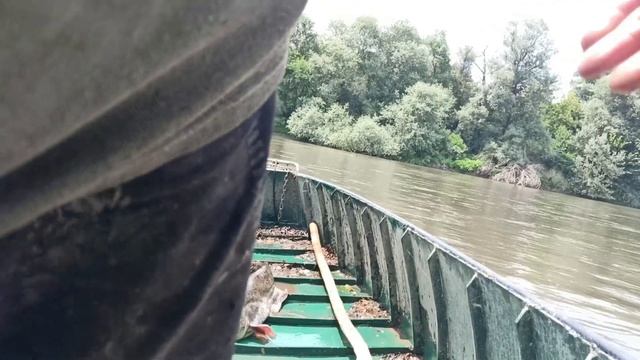 YOUTUBE YAYIN AVI-SAZAN AVI-SERPME İLE BALIK AVI-Ловит рыбу-fishing