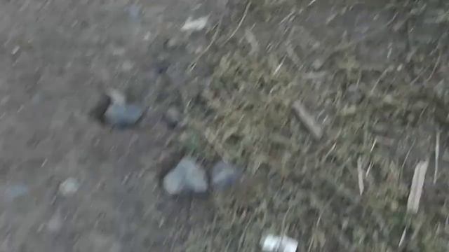 Друзья ето самолет кукурузник из ферми смотреть онлайн