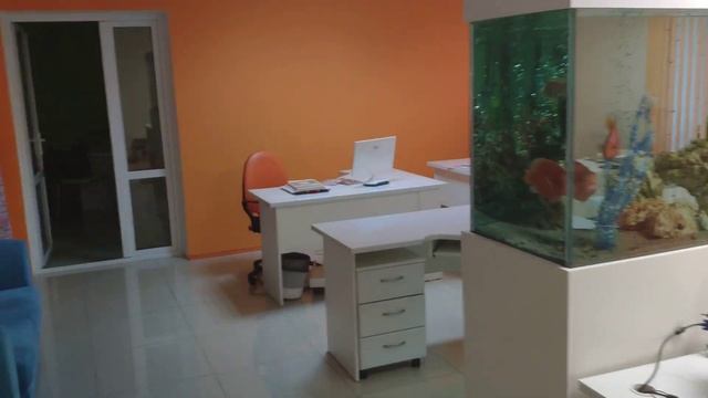 Под ключ! АРТстиль - строительные работы, ремонт домов, квартир, офисов в Тирасполе, Приднестровье. смотреть онлайн