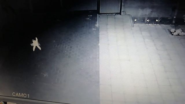 Замедленные съёмки камеры наблюдения во дворе! Что это такое? смотреть онлайн