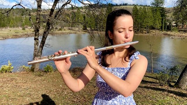 Titanic Flute Cover - "My heart Will Go On" - Celine Dion, Titanic main theme by James Horner смотреть онлайн