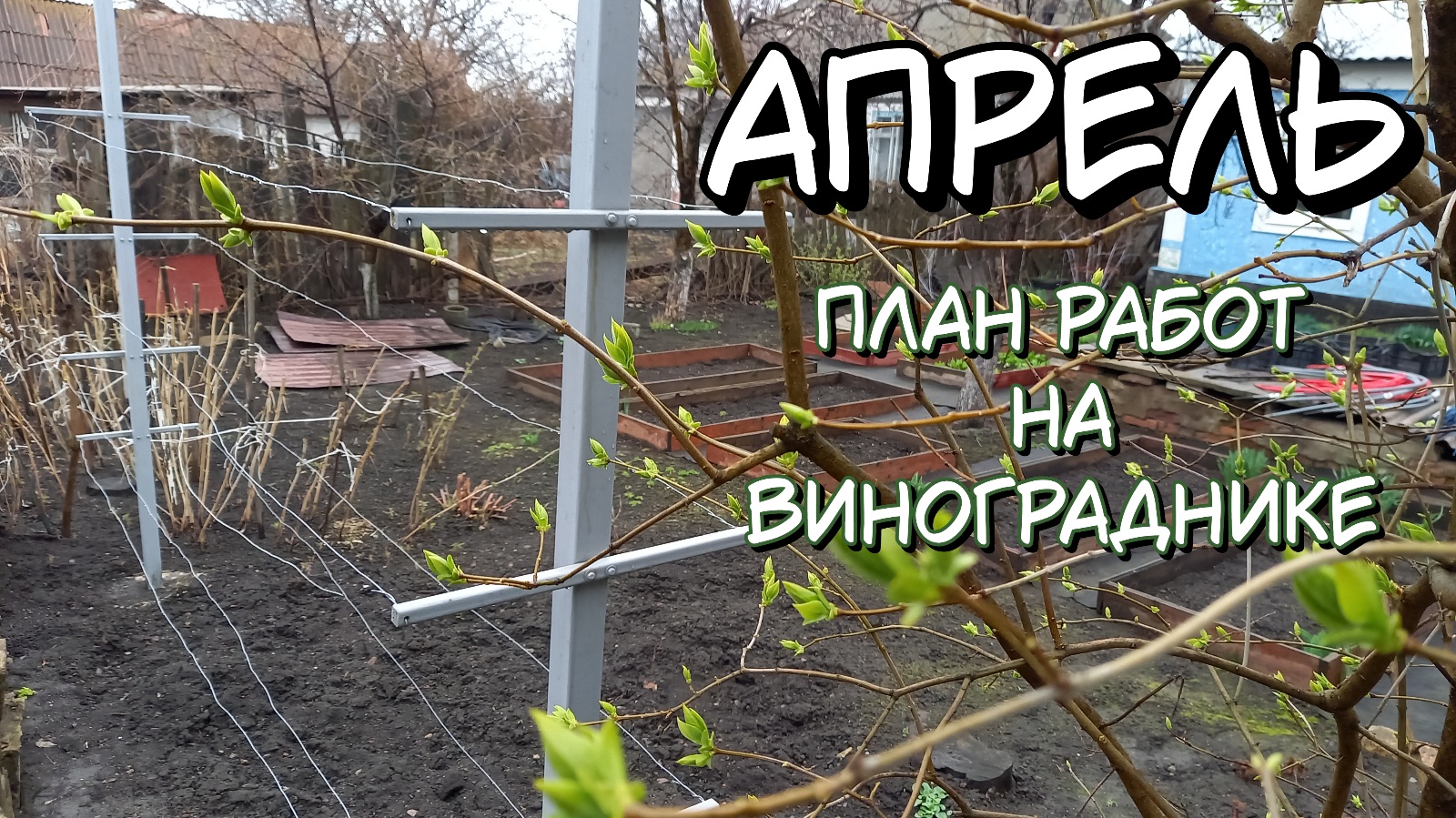 Апрель 2023. План работ на винограднике. смотреть онлайн