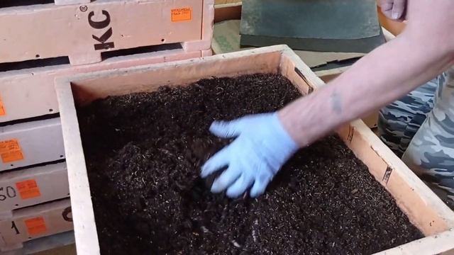 Пищевая цепочка и борьба с нематодой. смотреть онлайн