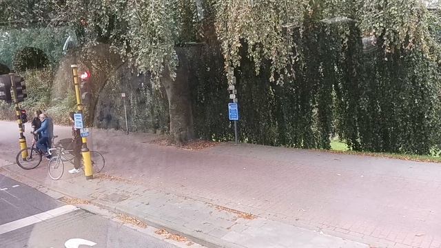 Круиз.Бельгия.Ветряки в рядочек.В лес привезли непонятно зачем. смотреть онлайн
