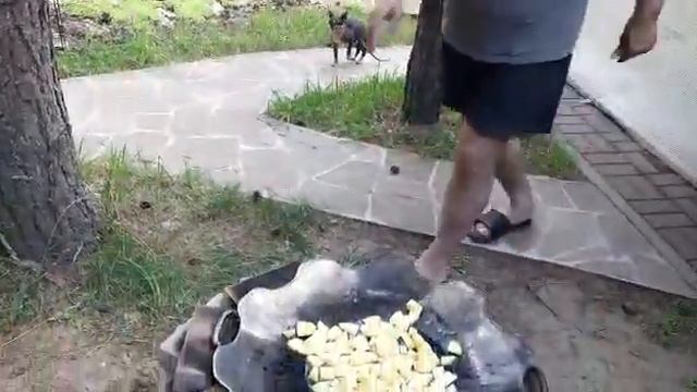 Вкусные блюда на любой вкус 