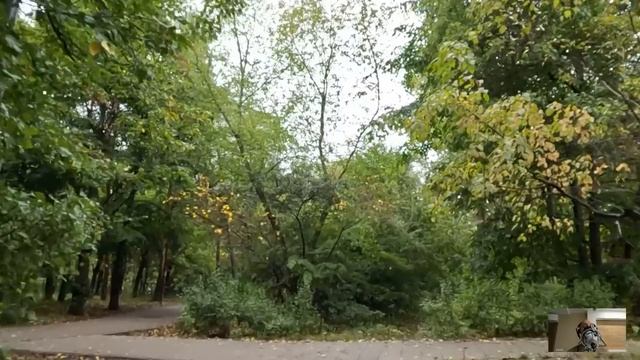 Знакомясь с родителями мажора, невеста заметила за богачами странности, а сорвав с его отца парик.. смотреть онлайн