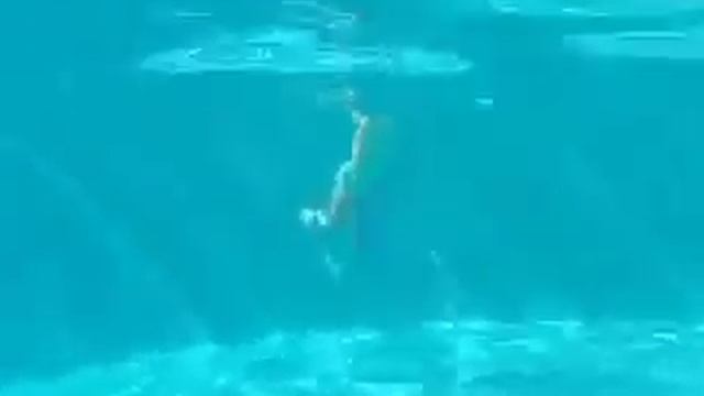 Маленькая девочка плавает под водой как рыба! Жесть! смотреть онлайн