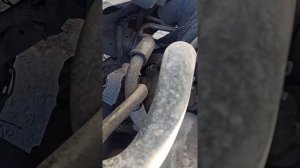 где расположены номера идентификации Chevrolet Lachette