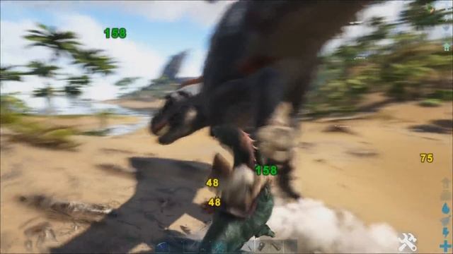 Раптор, Тек и альфа рапторы (Raptor) в АРК. Лучший обзор: приручение, разведение и способности в ar смотреть онлайн