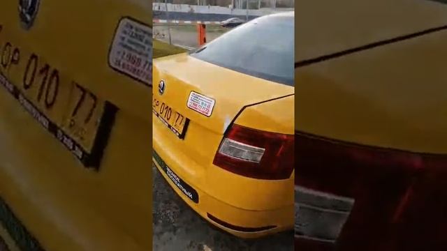 Октавия 18г +79660480077 Instagram @auto_zao смотреть онлайн