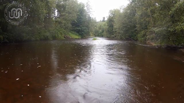 Ловля спиннингом на малых реках смотреть онлайн