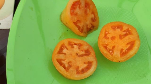 Томат МАНГО - ДЖАНГО. Настоящий тропический фрукт.