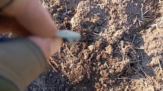 Находки нас повергли в шок! Неужели поселение ДОМОНГОЛ? #металлоискатель #noktamakro #сезон2021