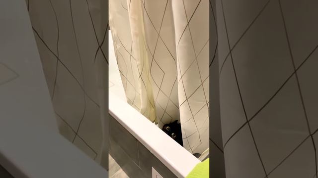 Прятки смотреть онлайн