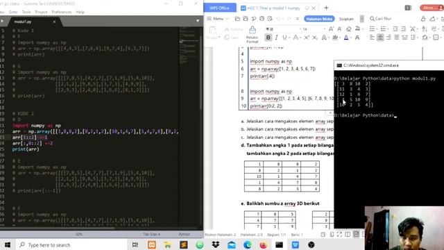 Tugas Modul 1 | Manipulasi array menggunakan numpy смотреть онлайн