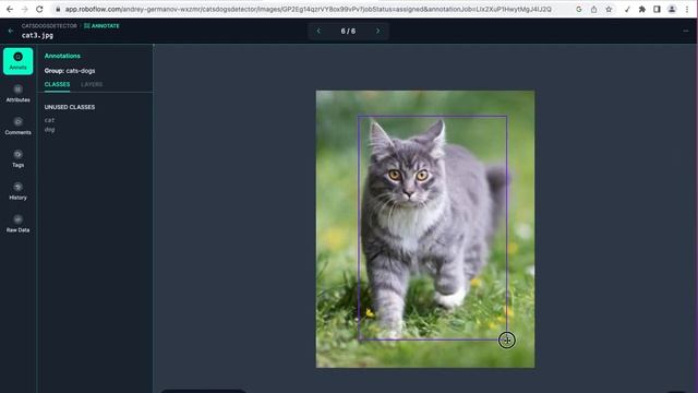 Using the Roboflow to prepare images dataset to train custom YOLOv8 model смотреть онлайн