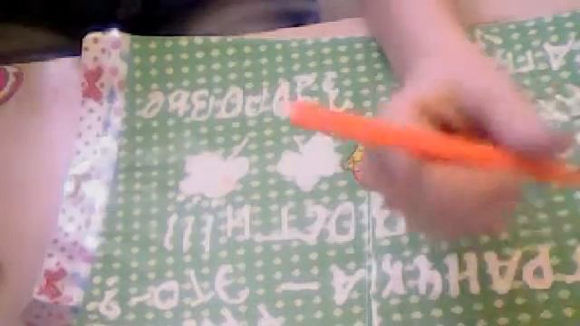 Видео C веб-камеры от 27 мая 2015 г., 12:00 (UTC)