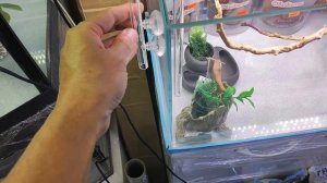 Стеклянный заборник/вход для внешнего фильтра, 12 мм