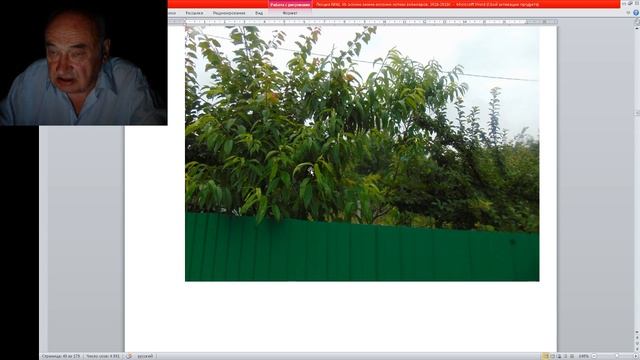 Вебинар №19. Садоводство глазами Валерия Железова. смотреть онлайн